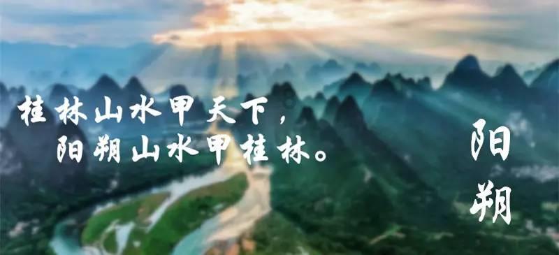 巩固基础、强化重点、着眼全局,省疾控中心开展党组织书记述职暨部门述职测评工作