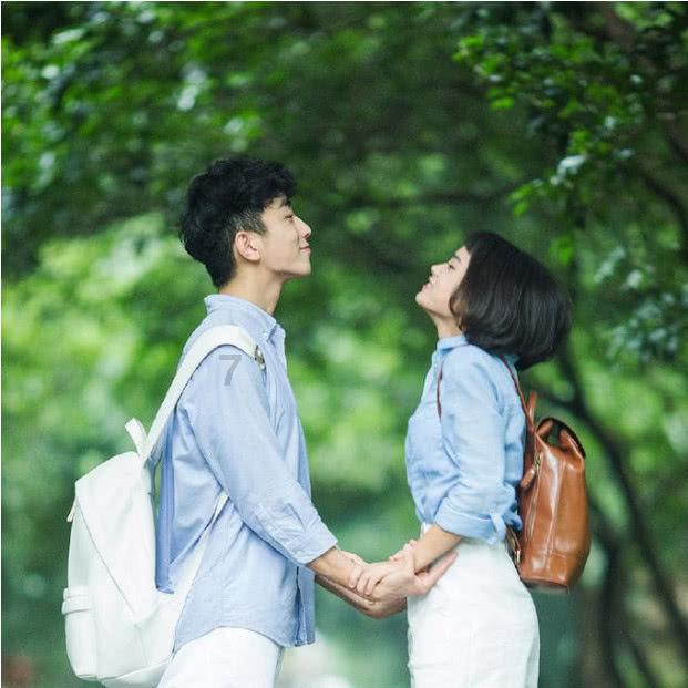 司马光《涑水记闻》142，143 仁宗裁军故事